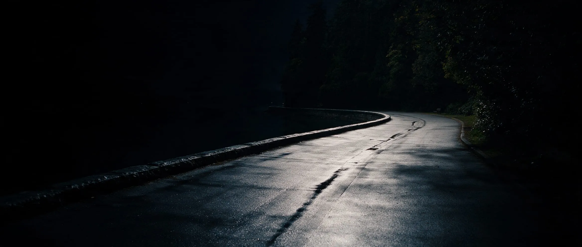 Stanley Park seawall at night